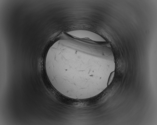 X0000095690356200801291222