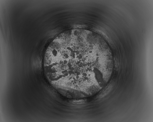 X0000095690357200801291222