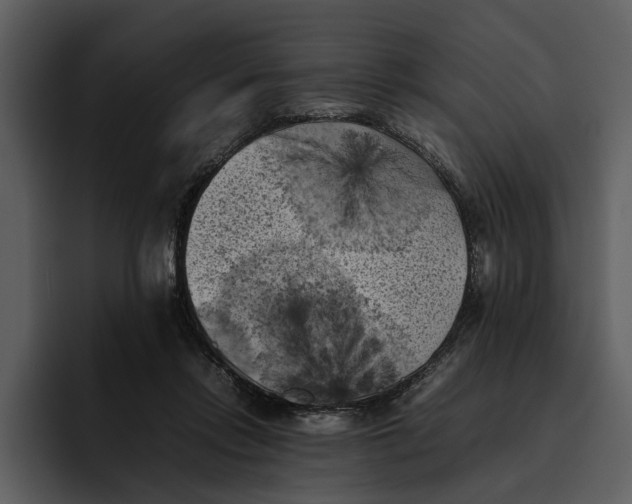 X0000095690358200801291222