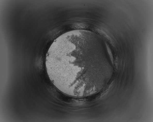 X0000095690359200801291222