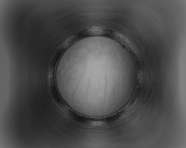 X0000095690360200801291222