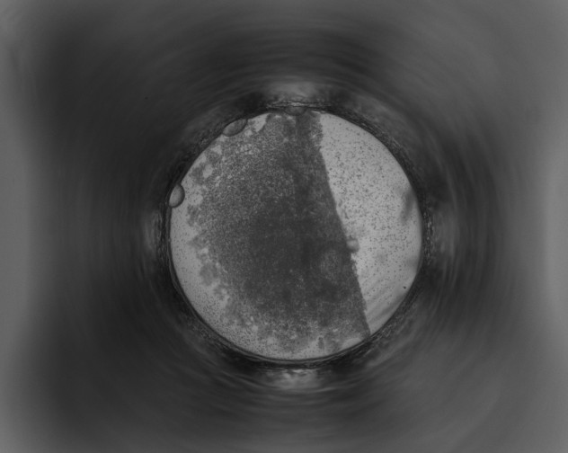 X0000095690361200801291222