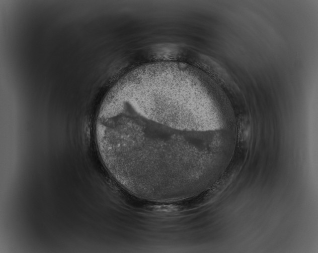 X0000095690363200801291222