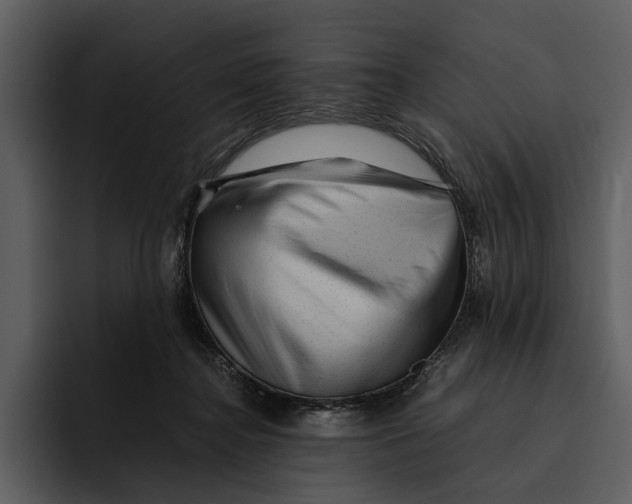 X0000095690364200801291222