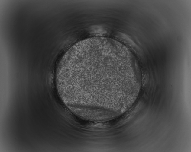 X0000095690365200801291222