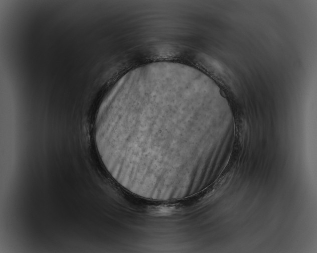 X0000095690366200801291222