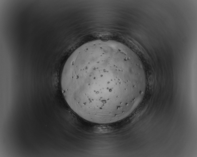 X0000095690372200801291222