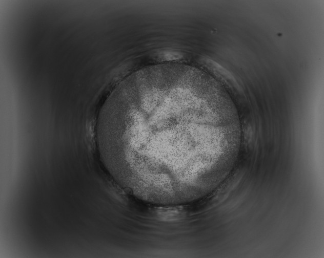 X0000095690373200801291222