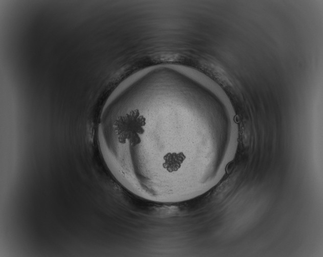 X0000095690374200801291222