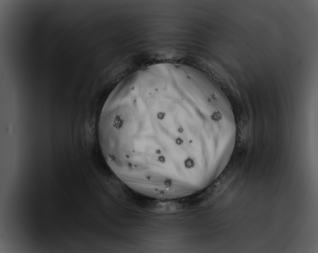 X0000095690376200801291222