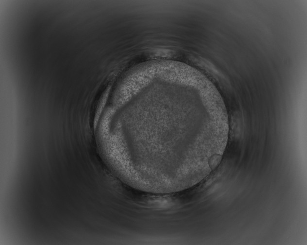 X0000095690377200801291222