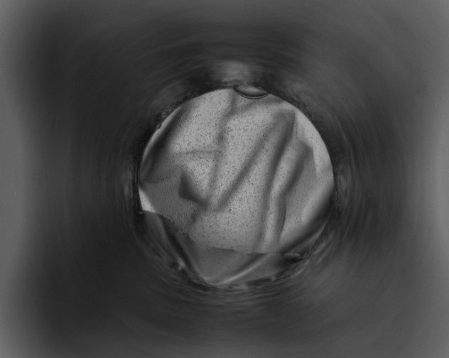 X0000095690379200801291222