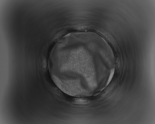 X0000095690380200801291222