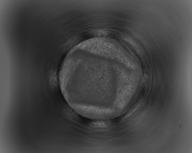 X0000095690381200801291222