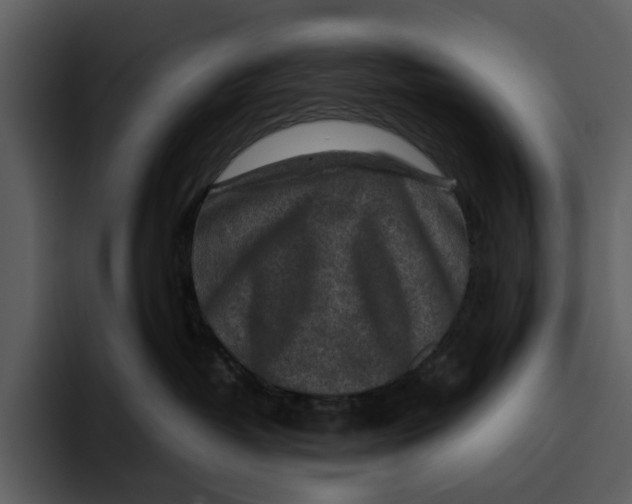 X0000095690382200801291222