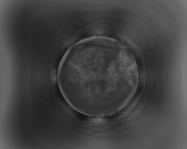 X0000095690383200801291222