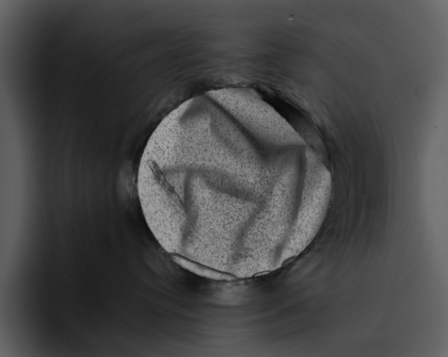 X0000095690384200801291222