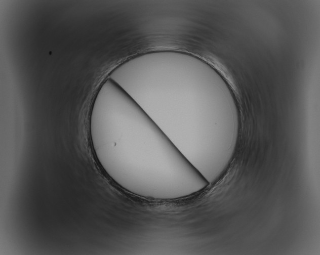 X0000095690385200801291221