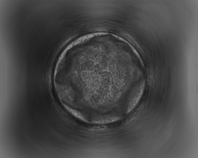 X0000095690386200801291221