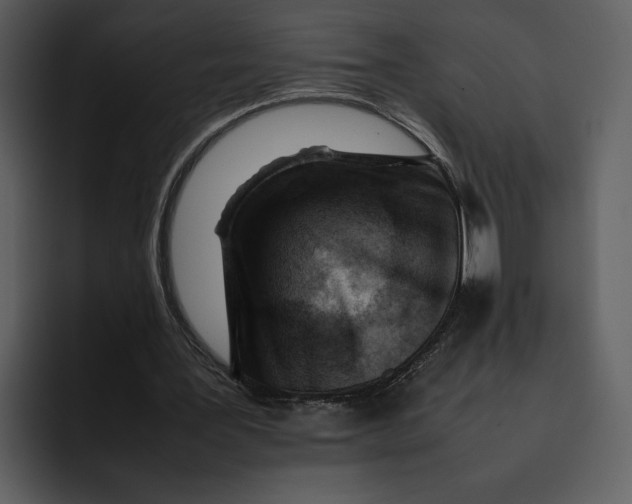 X0000095690387200801291221