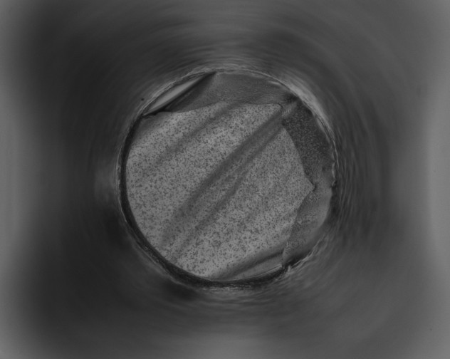 X0000095690389200801291221