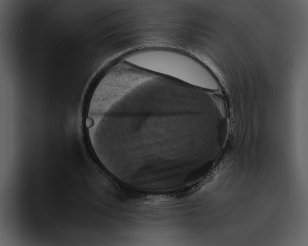 X0000095690391200801291221