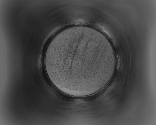 X0000095690392200801291221