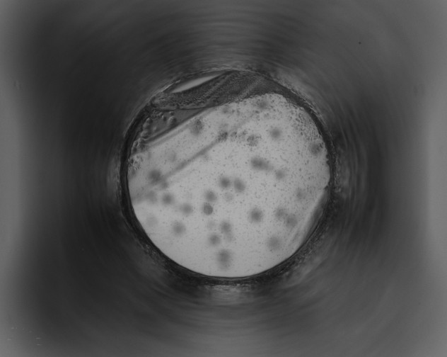 X0000095690394200801291221