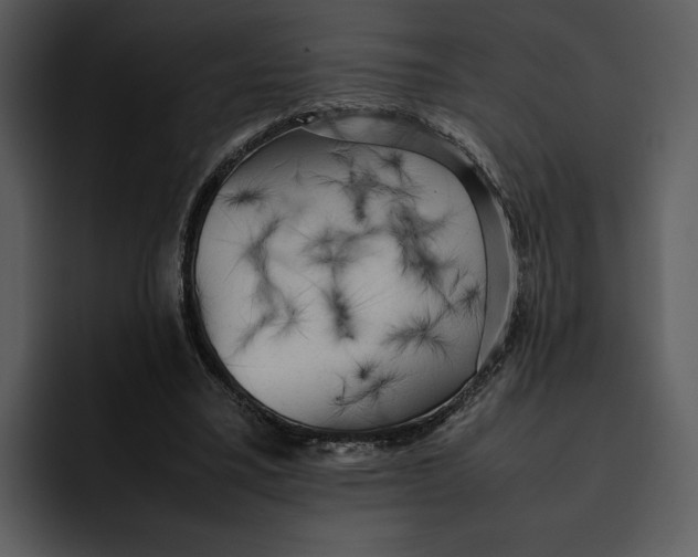 X0000095690395200801291221