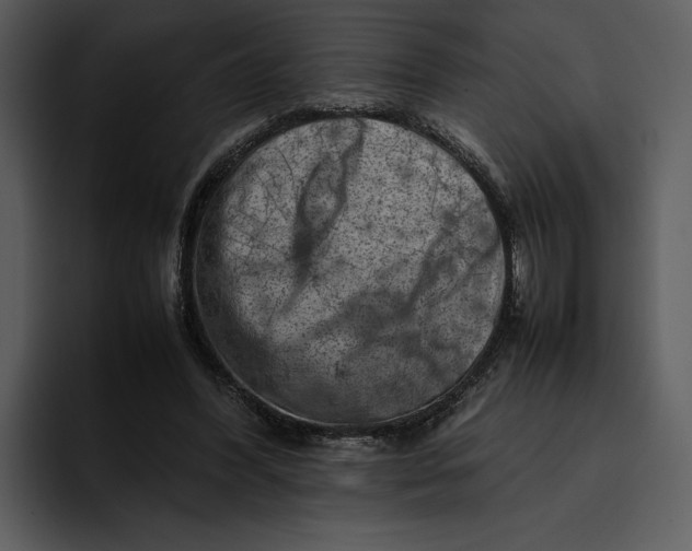 X0000095690396200801291221