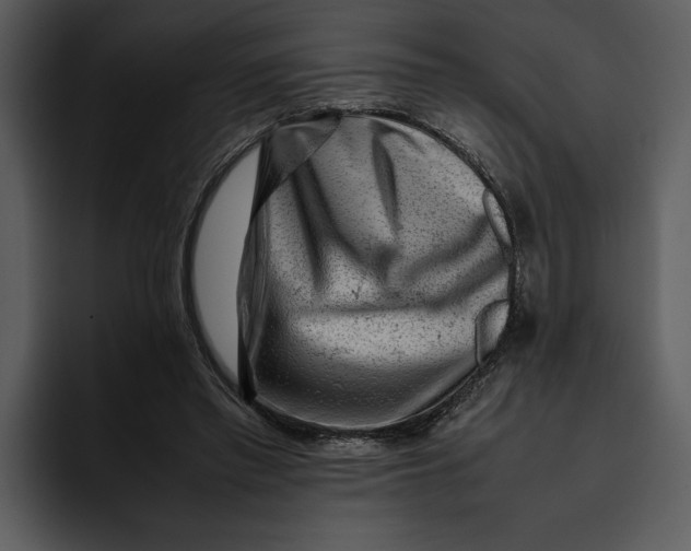 X0000095690397200801291221