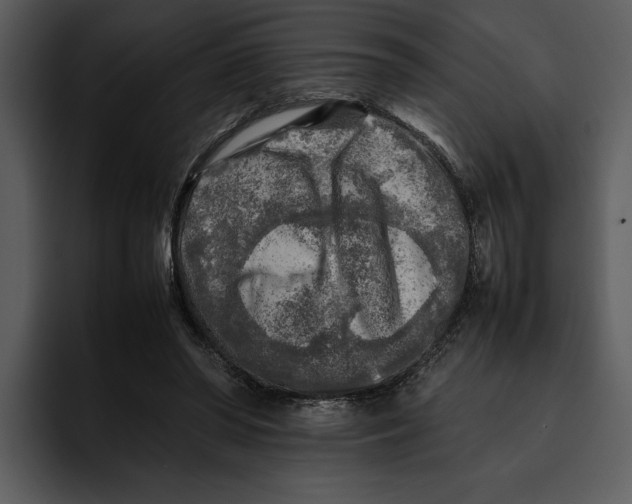 X0000095690398200801291221