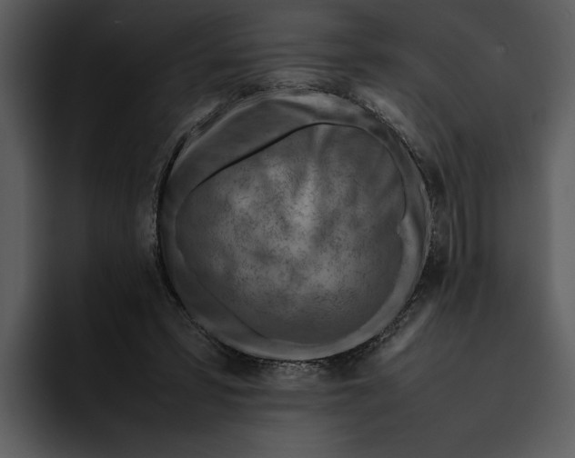 X0000095690399200801291221