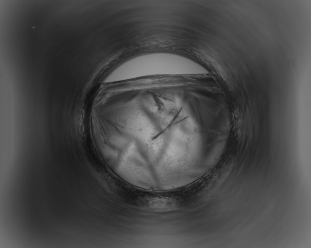 X0000095690400200801291221