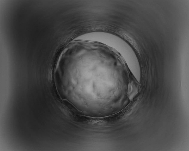 X0000095690401200801291221