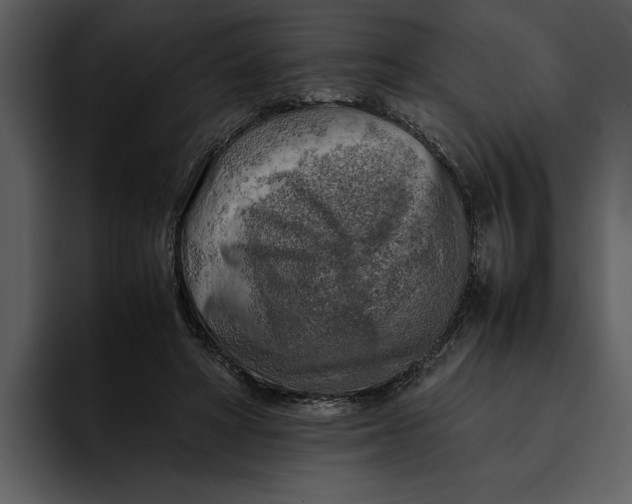 X0000095690402200801291221