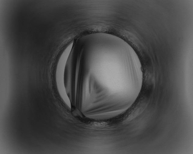 X0000095690403200801291221