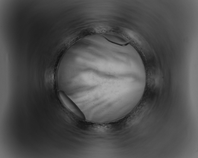 X0000095690405200801291221