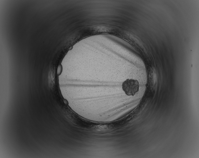 X0000095690406200801291221