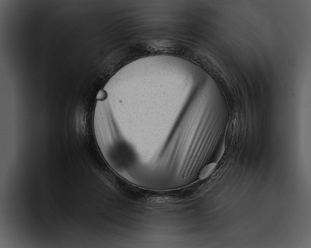 X0000095690408200801291221