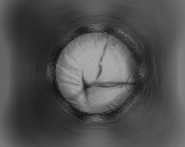 X0000095690409200801291221