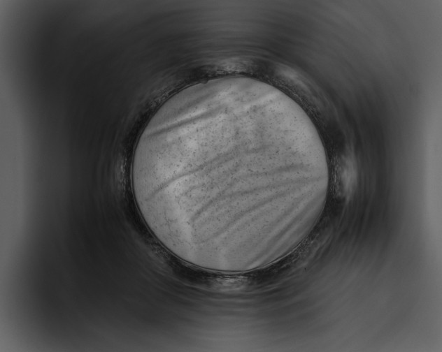 X0000095690410200801291221