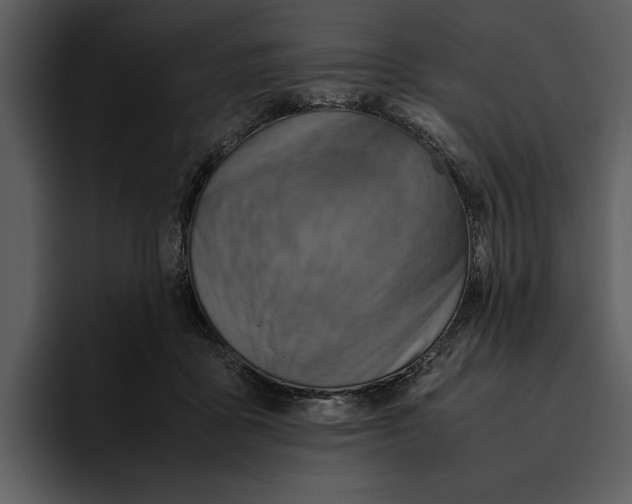 X0000095690411200801291221