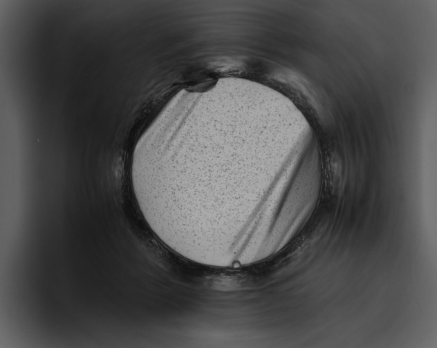 X0000095690412200801291221