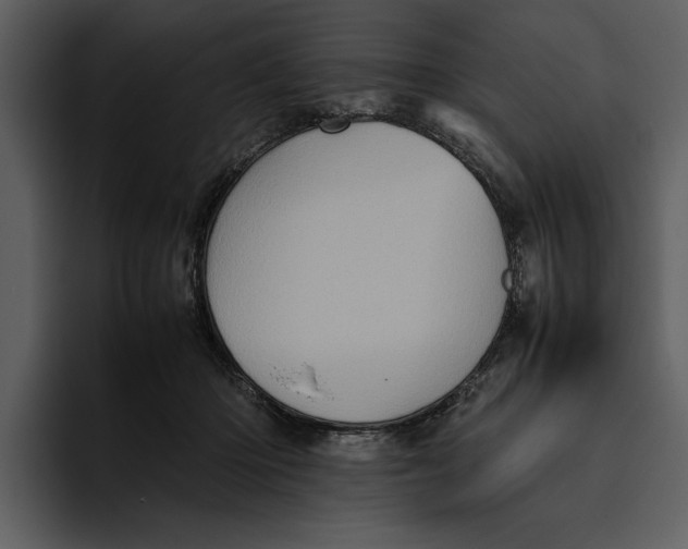 X0000095690414200801291221