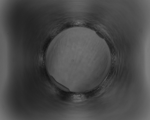 X0000095690415200801291221