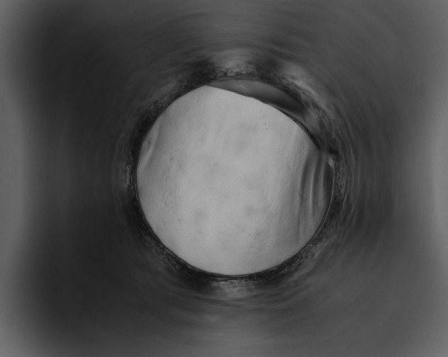 X0000095690417200801291221