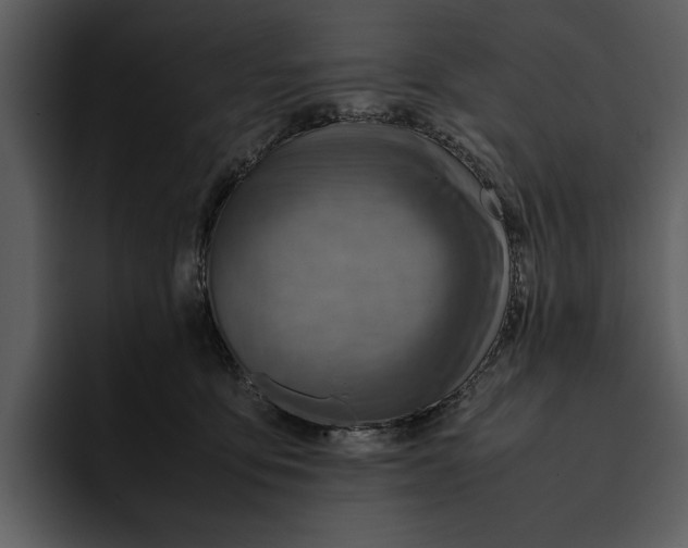 X0000095690419200801291221