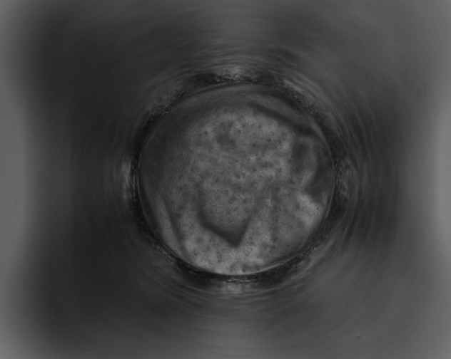 X0000095690420200801291221