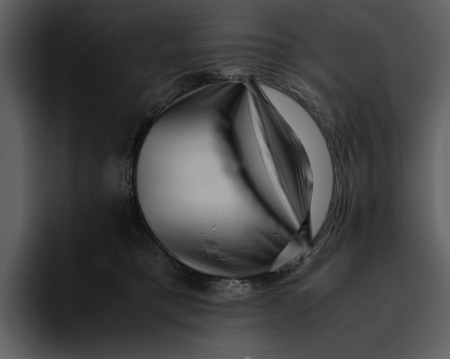 X0000095690421200801291221